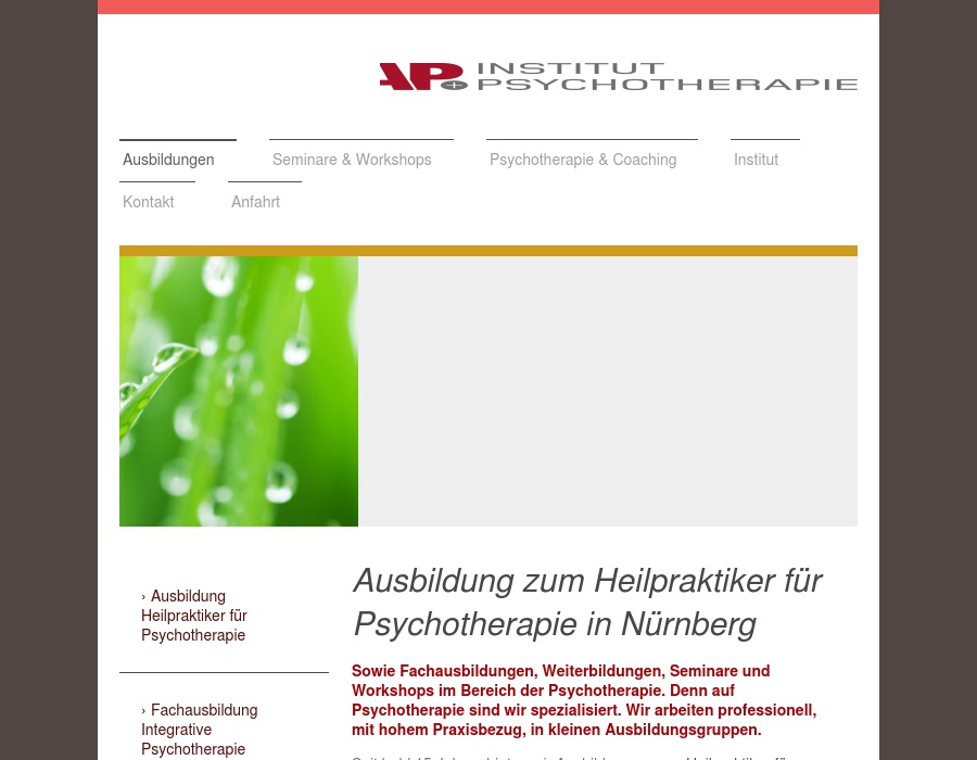 Ammon & Partner, Institut für Psychotherapie