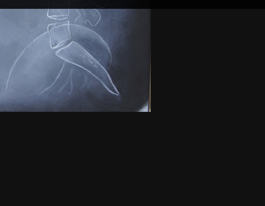 Praxis für Chiropraktik & Akupunktur, Schmerztherapie Kathleen Roppel