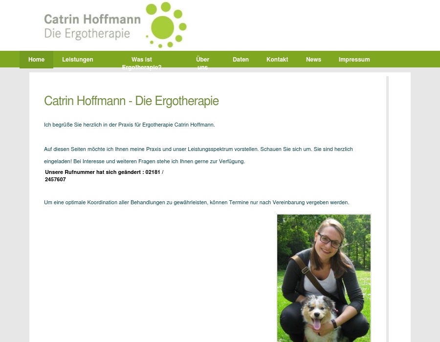 Hoffmann Die Ergotherapie