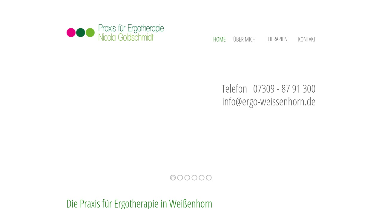 Praxis für Ergotherapie Nicola Goldschmidt