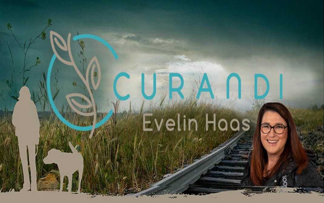 Pflegeberatungsstelle CURANDI