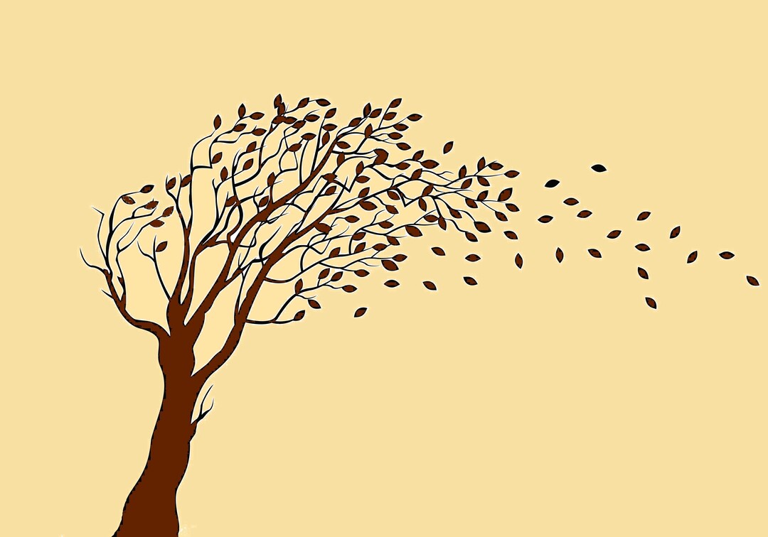 Logo: Bestattung Irrgang und Weber GbR