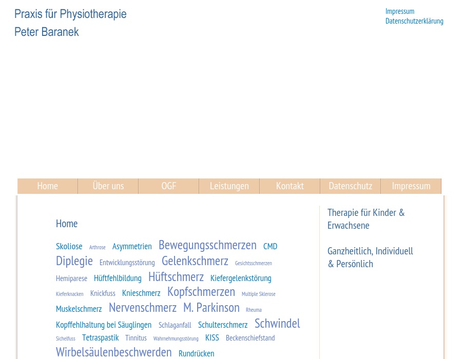 Baranek P. Physiotherapie