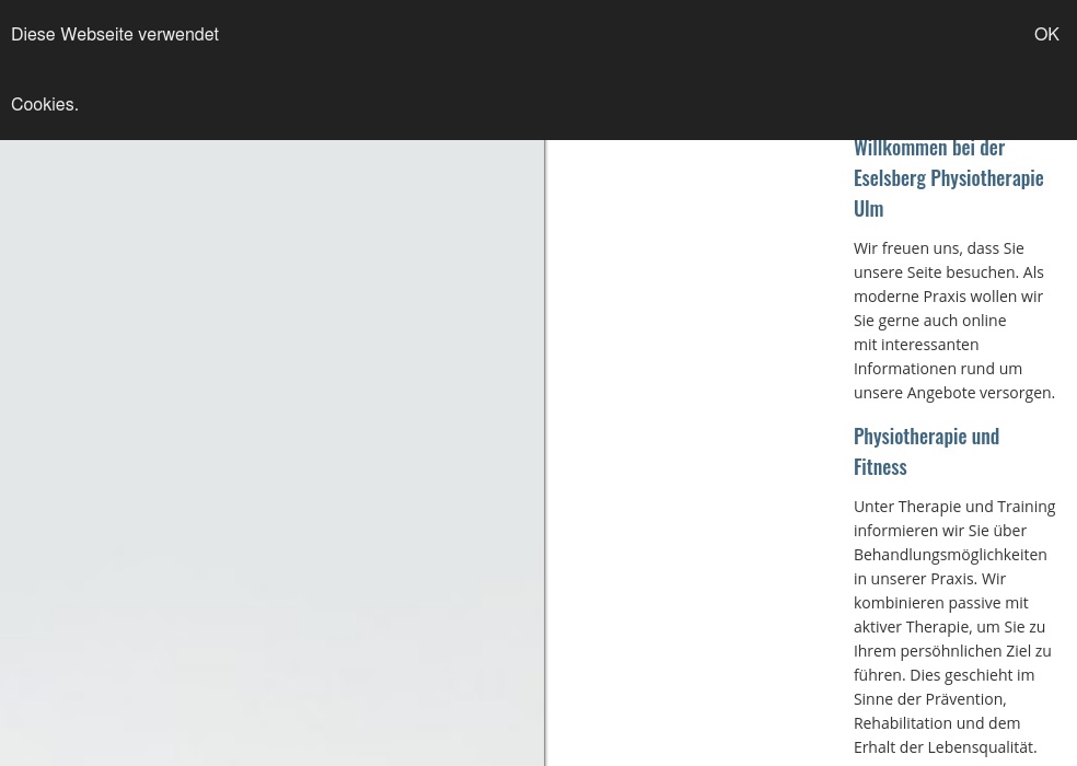 Eselsberg Physiotherapie