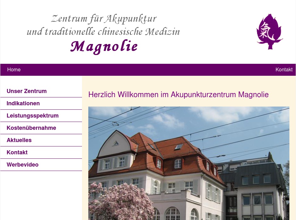 Akupunktur und Traditionelle Chinesische Medizin