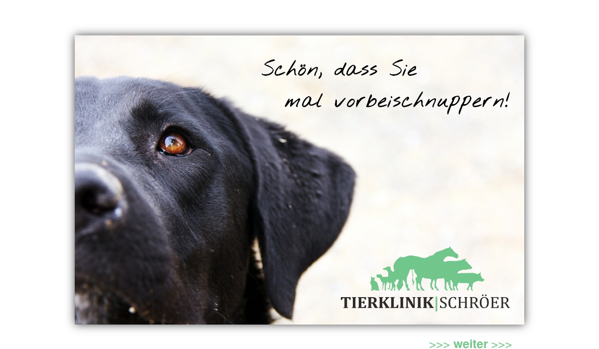 Schröer Christian Dr.med.vet. TierärztlicheKlinik Siedenburg