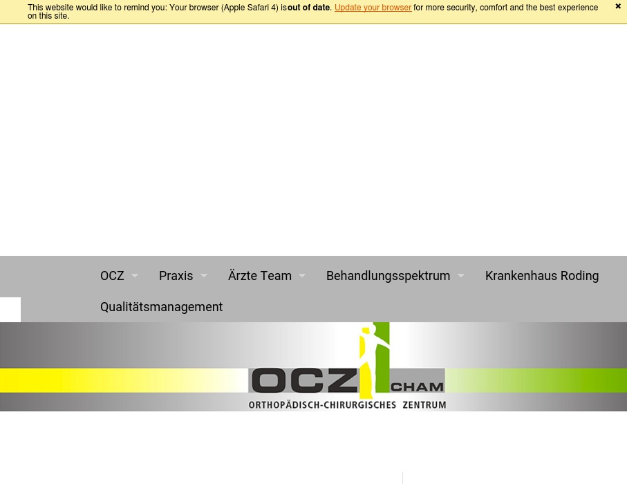 OCZ Cham