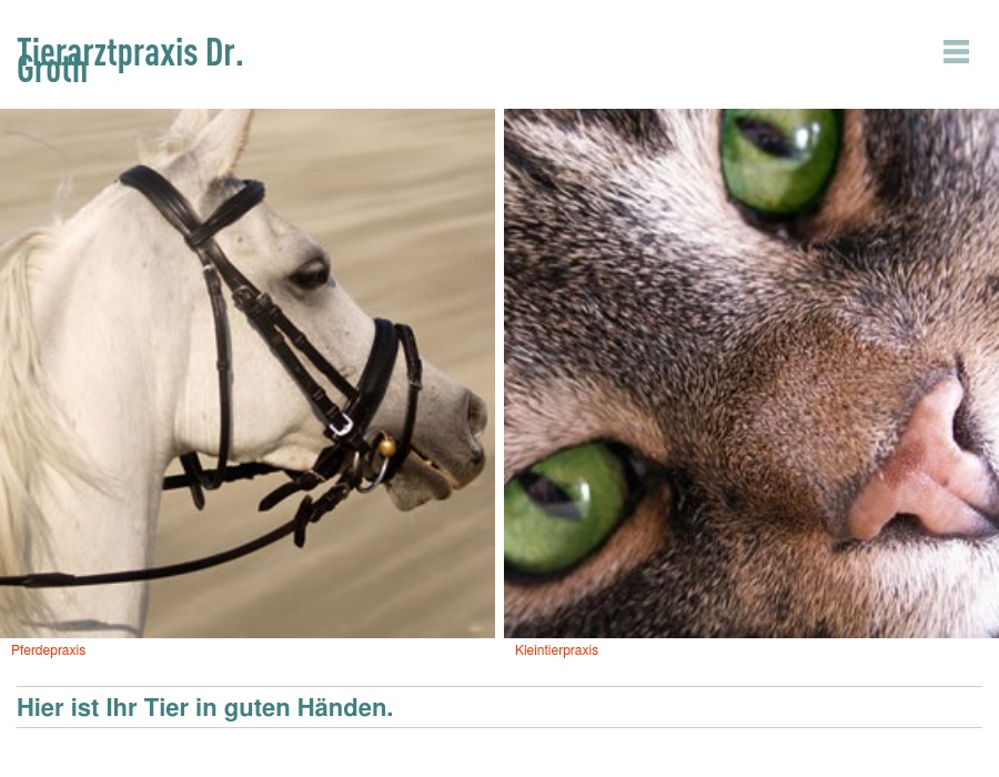 Groth Jan Dr. Praxis für Pferde und Kleintiere