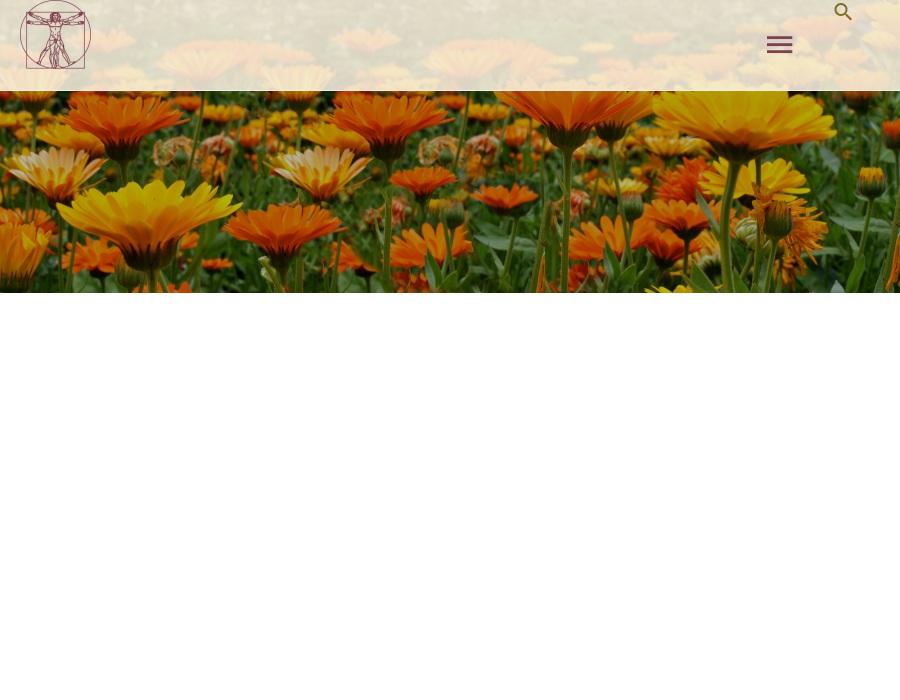 Ernährungsinstitut Carmen Brehler Praxis für Ernährungsberatung