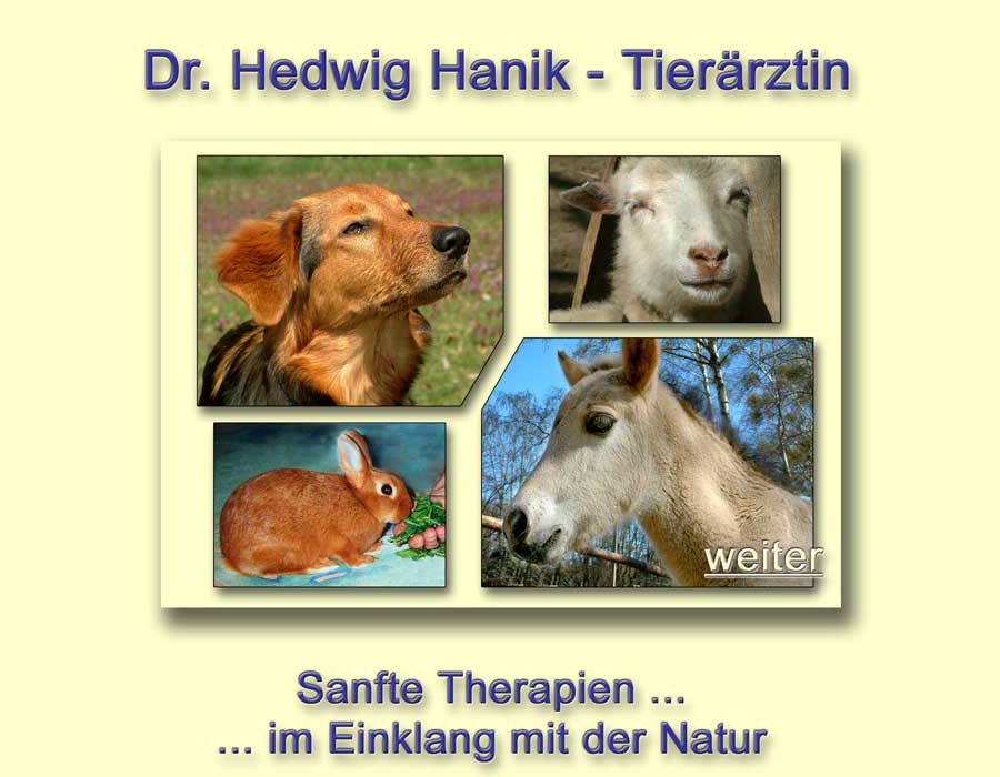 Hanik Hedwig Dr. med. vet.