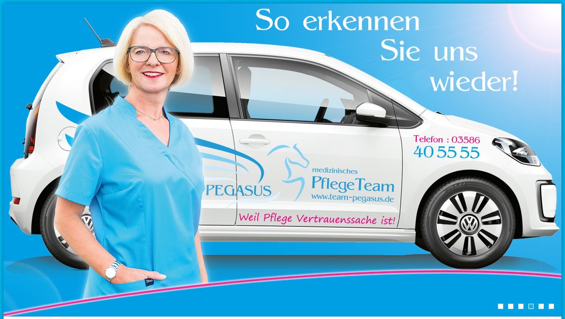 Logo: PEGASUS PflegeTeam - PEGASUS GmbH SGB XI und SGBV