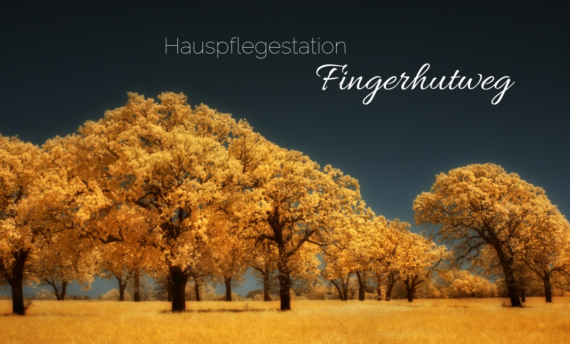 Hauspflegestation Fingerhutweg Gabriele Grieser