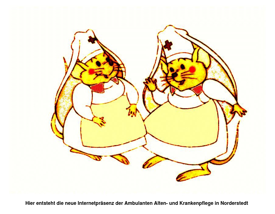 Ambulante Krankenpflege Anke Falk-Düz