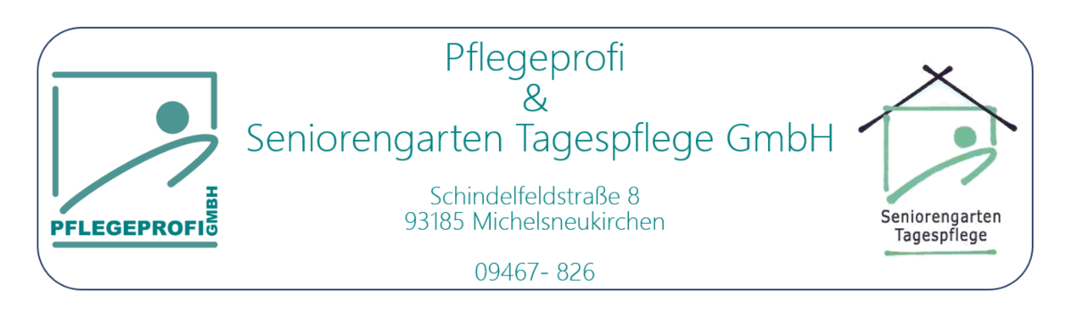 Logo: Pflegeprofi GmbH