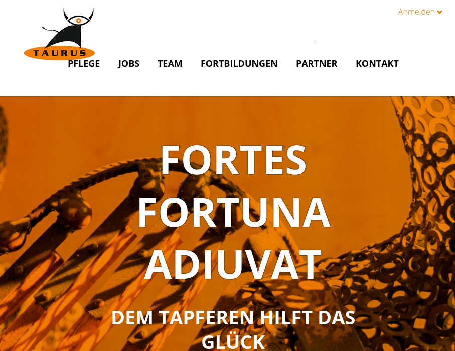 TAURUS Pflegeservice