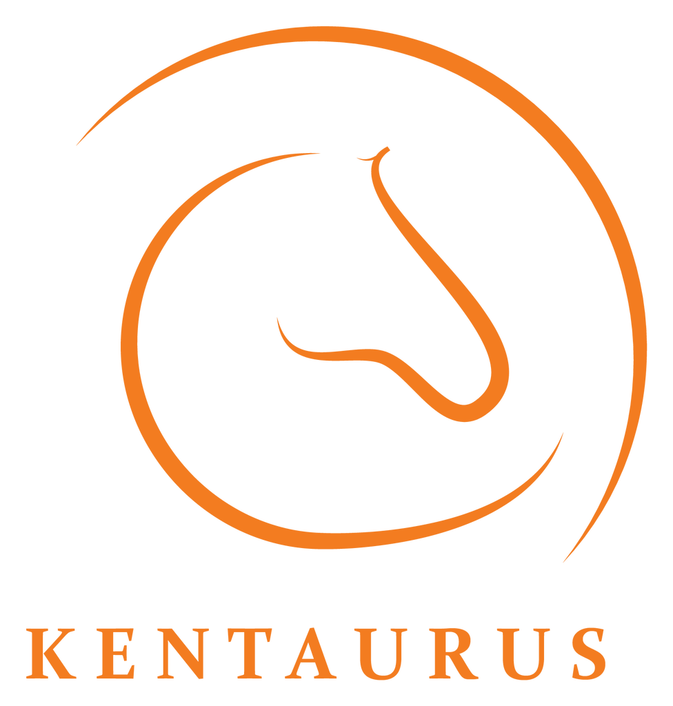 Logo: Kentaurus - ambulantes Zentrum GmbH & Co. KG