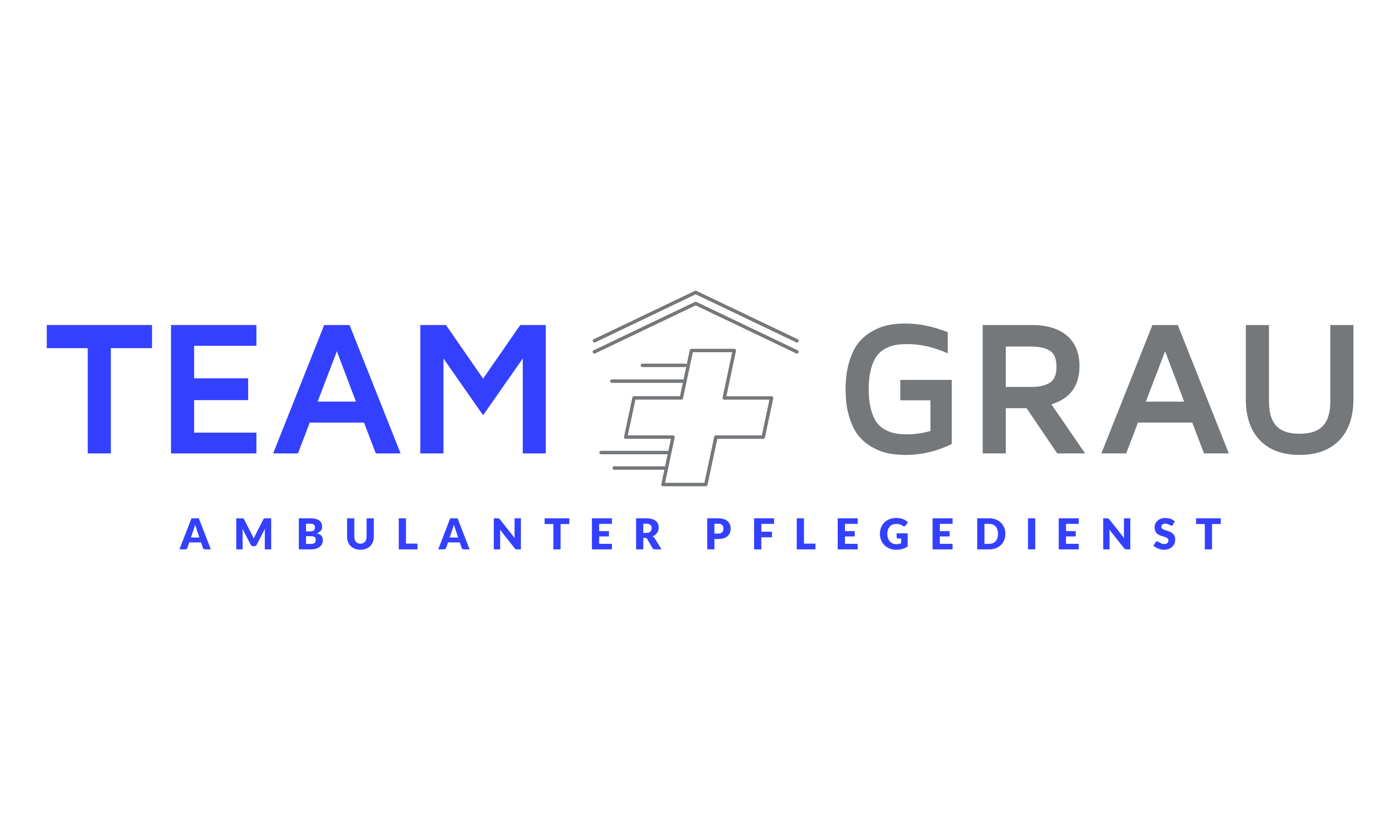 Logo: Pflegedienst Team Grau