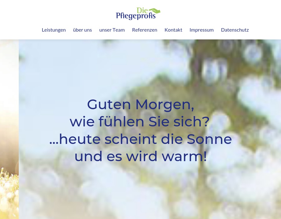 Die Pflegeprofis Sommer GmbH