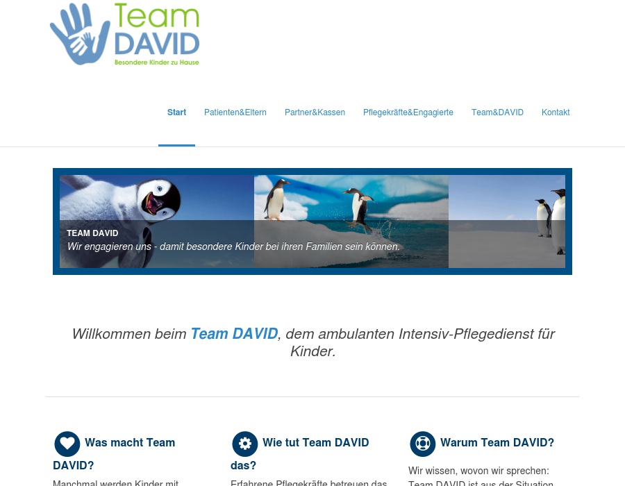 Team DAVID GmbH