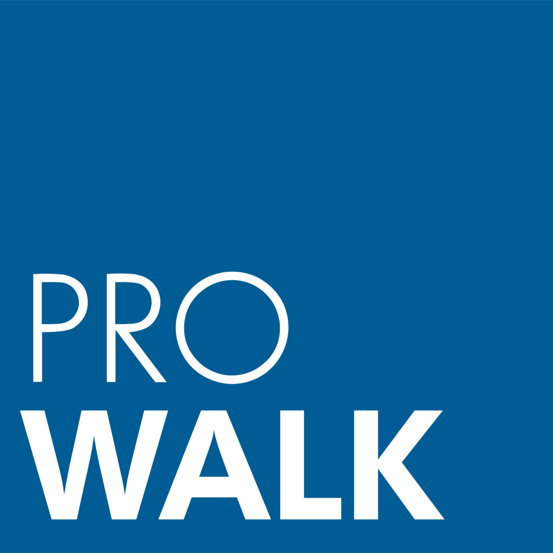 Logo: Pro-Walk Rehabilitationshilfen und Sanitätsbedarf GmbH