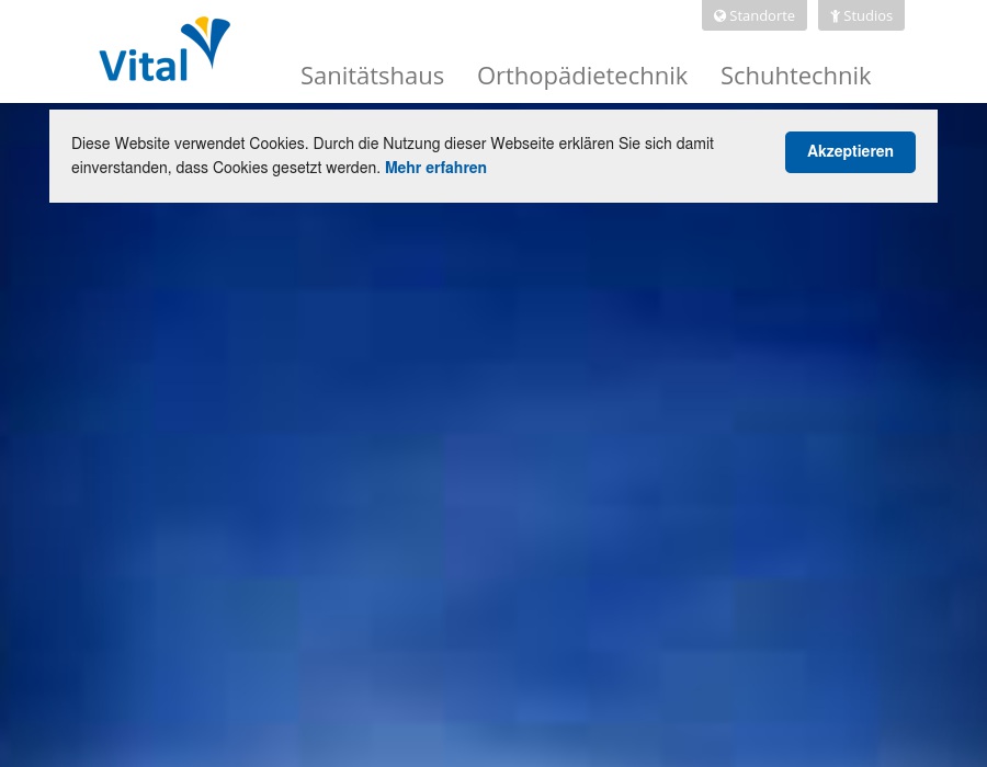 Wylenzek Sanitätshaus